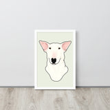 English Bull Terrier Portrait