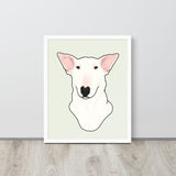 English Bull Terrier Portrait