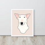 English Bull Terrier Portrait