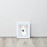 English Bull Terrier Portrait